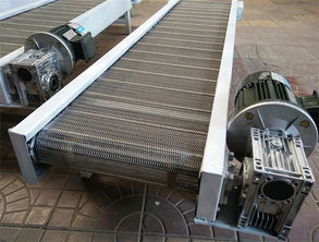 深圳不锈钢输送带 不锈钢输送带厂家 图 钢丝网不锈钢输送带